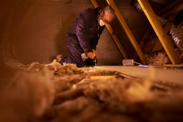 Best Professional Insulation Contractor  in Depew, NY